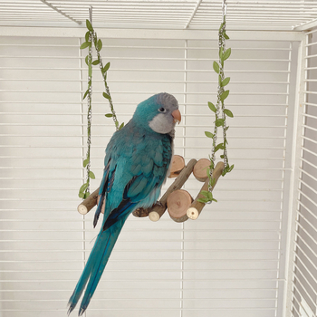 Ξύλινο παιχνίδι για παπαγάλους με κλαδί, κούνια, βάση ανάπαυσης και σκαλάκι ανάβασης για μικρούς–μεσαίους παπαγάλους