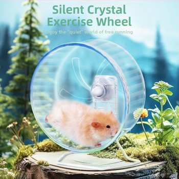 Caurspīdīgs hamsters skrējiens rats ar anti-jam dizainu, kluss darbs, PP materiāls