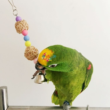 Papagáj számára készült fa játék, rattan golyó harapós játék
