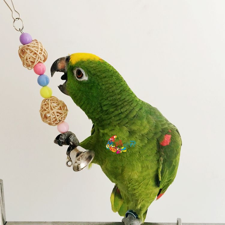 Papagáj számára készült fa játék, rattan golyó harapós játék