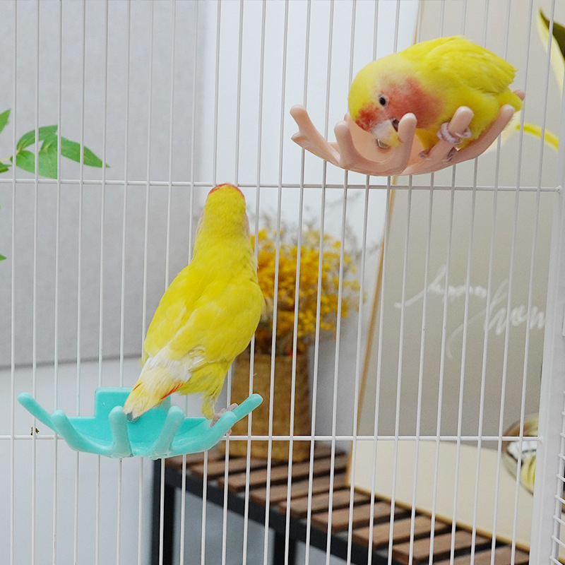 Papūgos laikiklis su lazdele – Paukščių poilsio platforma, Kodas GS21414, Suaugęs paukštis, Neimportuotas