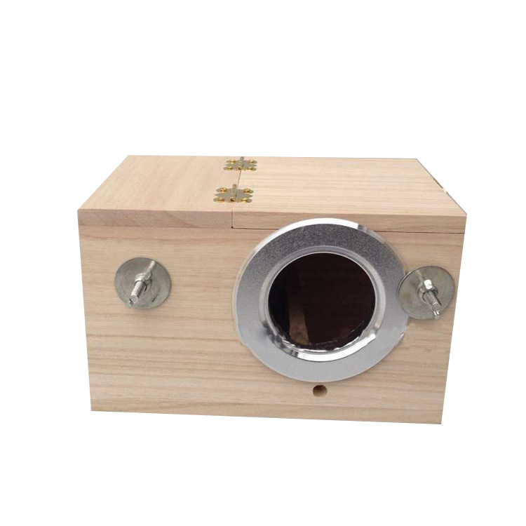 Medinė papūgų veisimo dėžė lauke; Tipas: Paukštis; Amžius: Suaugęs; Importuota: Ne