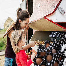 Καλάθι συλλογής αυγών με 9 διαμερίσματα για αυγά κοτόπουλου, πάπιες και χήνες — οικιακή, φάρμα και κήπος.