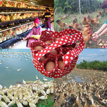 Καλάθι συλλογής αυγών με 9 διαμερίσματα για αυγά κοτόπουλου, πάπιες και χήνες — οικιακή, φάρμα και κήπος.