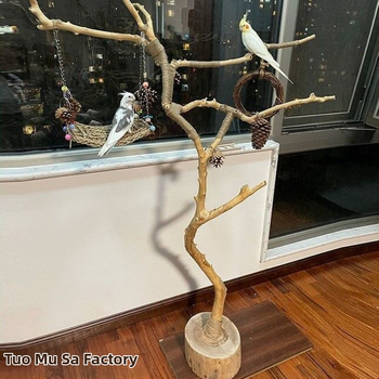 Клонки от естествени сухи дървета (Silver willow), неоцветени, за стена: форми на птичи кацалки, стенен закачалник и декоративни таванни клонки