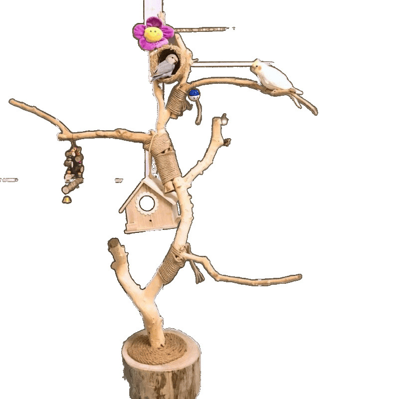 Dabas žāvēti zari no sudrabkrāsas vītolu (Silver willow), bez krāsas, paredzēti sienu dekorēšanai; ar putnu sēdēšanas formām un sienas pakaramājs