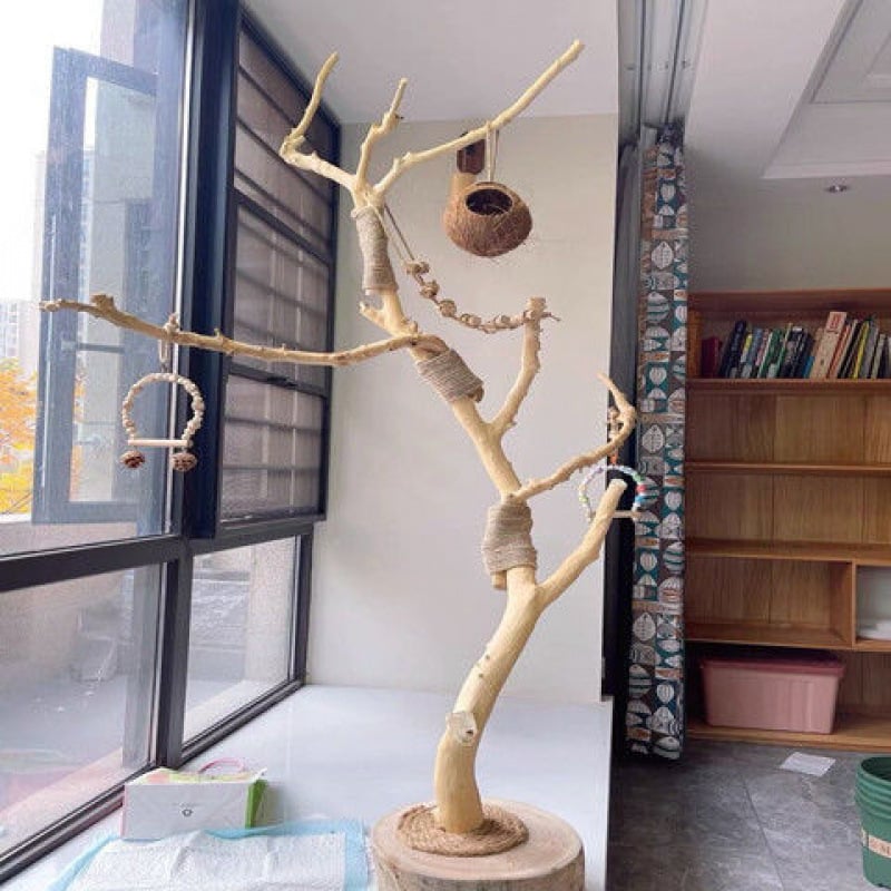 Клонки от естествени сухи дървета (Silver willow), неоцветени, за стена: форми на птичи кацалки, стенен закачалник и декоративни таванни клонки