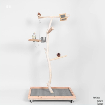 Στάντ Εκπαίδευσης Παπαγάλου Με Βάση στο Δάπεδο (Υλικό: Άλλο; Μάρκα: Άλλο; Κατάλληλο για: Άλλα πουλιά)