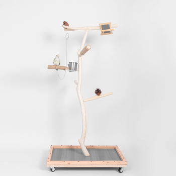 Στάντ Εκπαίδευσης Παπαγάλου Με Βάση στο Δάπεδο (Υλικό: Άλλο; Μάρκα: Άλλο; Κατάλληλο για: Άλλα πουλιά)