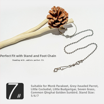 Στάντ Εκπαίδευσης Παπαγάλου Με Βάση στο Δάπεδο (Υλικό: Άλλο; Μάρκα: Άλλο; Κατάλληλο για: Άλλα πουλιά)