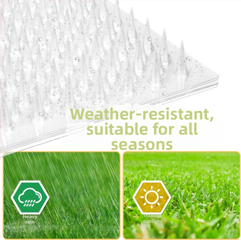 Αντι-γάτας με αγκίδες πάτος — πλαστικό; κατάλληλο για γάτες; μάρκα Brother chun; κατηγορία: μαξιλάρι καθίσματος; οικισμοί και κλουβιά κατοικίδιων