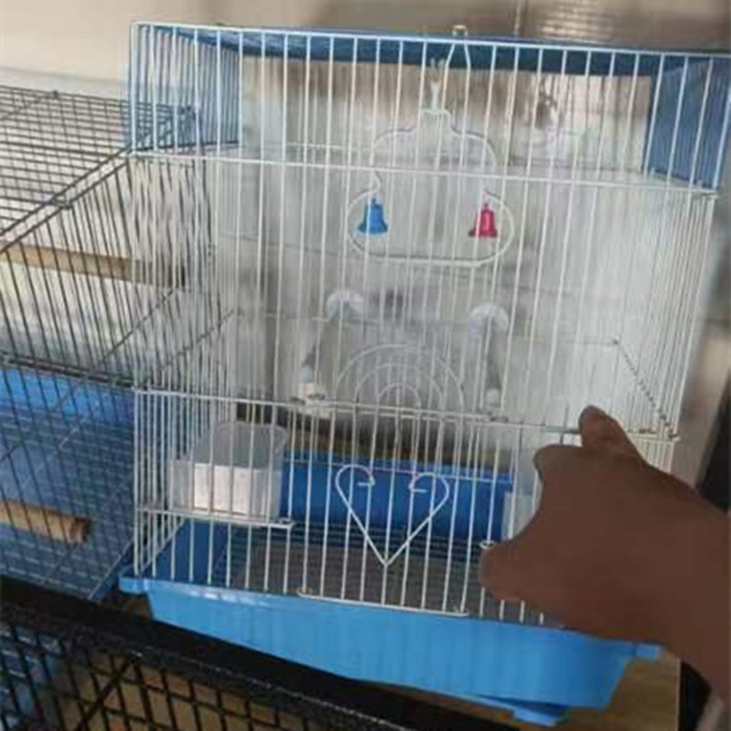 Клетка за папагали с плосък покрив от желязна тел за развъждане