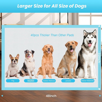 Vienkartinis netkanos audinio kilimėlis gyvūnams, storesnis šuns įdėklas