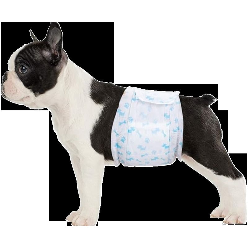 Πάνες για σκύλους (μηνοπανοφόρα παντελόνια) - μη υφασμάτινο ύφασμα, καθημερινό στυλ, καθολική χρήση