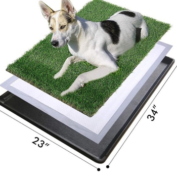 Šunų šlapinimosi kilimėliai su dezodoruojančia ir sugeriančia savybe, storinti mokomieji kilimėliai šunims | Golden Pet; Medžiaga: Kita; Tinka: Šunims; Pakuotė: 1 vnt