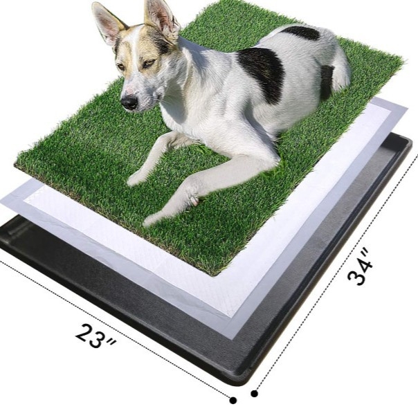 Šunų šlapinimosi kilimėliai su dezodoruojančia ir sugeriančia savybe, storinti mokomieji kilimėliai šunims | Golden Pet; Medžiaga: Kita; Tinka: Šunims; Pakuotė: 1 vnt