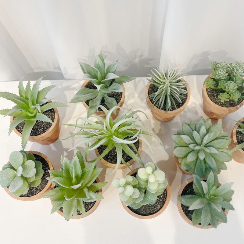 Flokēta faktūras mākslīgais sukulentu augs podā, sērija 20213, mājas interjeram un fotogrāfiju rekvizītiem