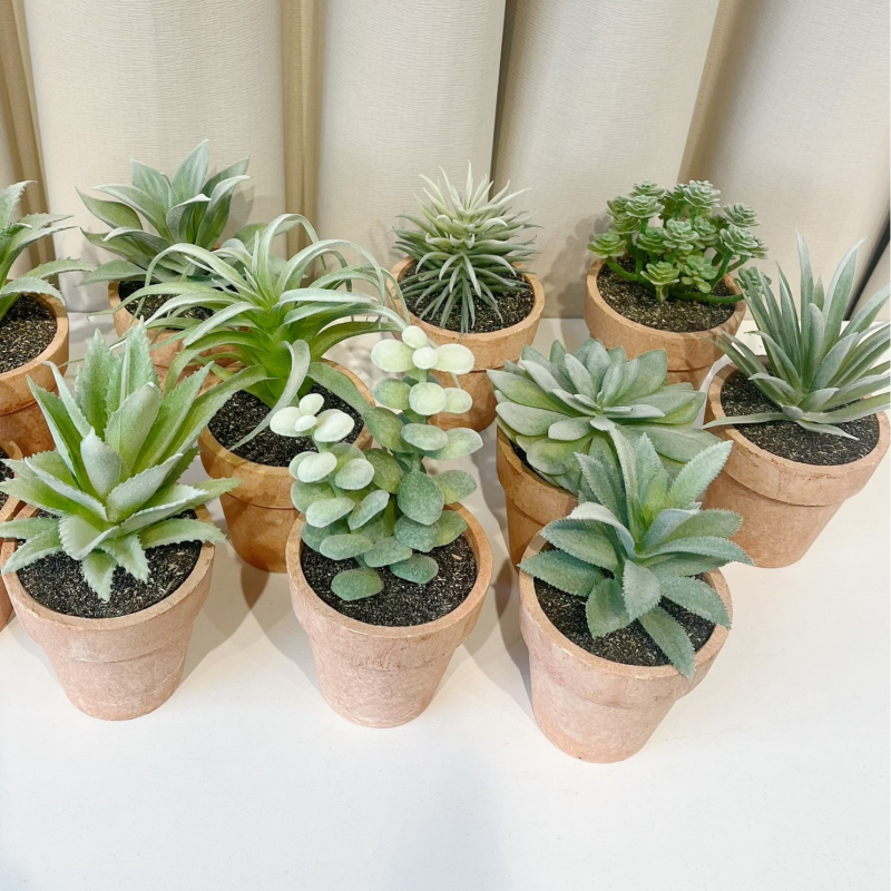 Flokēta faktūras mākslīgais sukulentu augs podā, sērija 20213, mājas interjeram un fotogrāfiju rekvizītiem