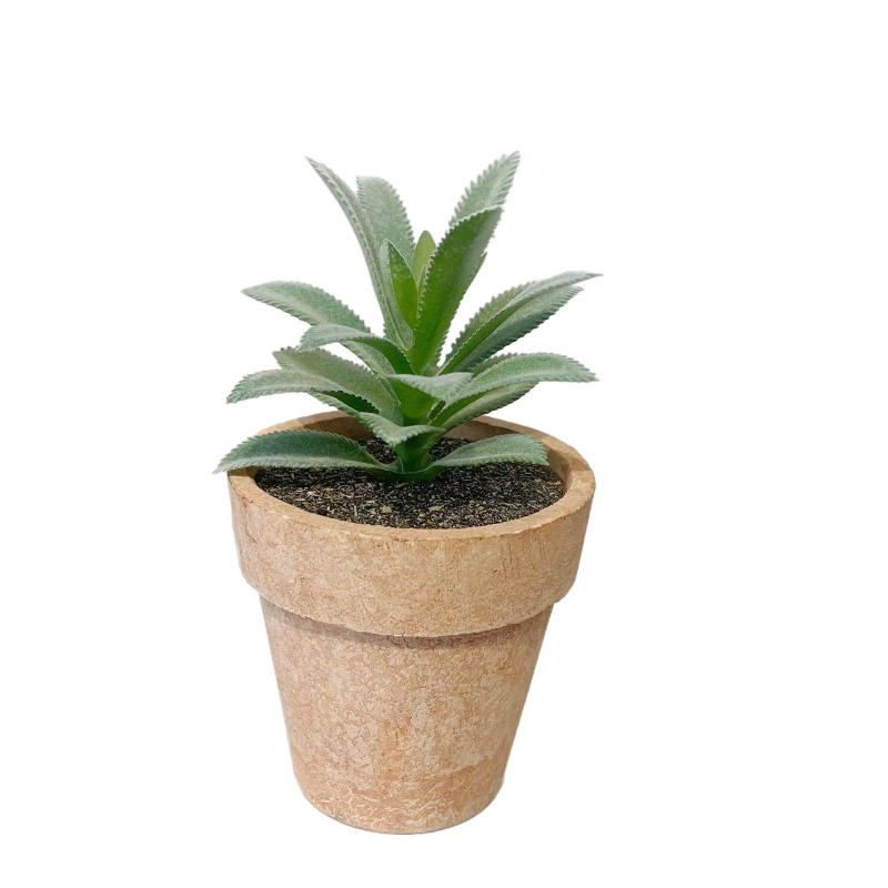 Flokēta faktūras mākslīgais sukulentu augs podā, sērija 20213, mājas interjeram un fotogrāfiju rekvizītiem