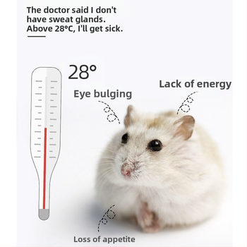 Κεραμική φωλιά για χάμστερ με δροσιστικό σχεδιασμό (Υλικό: Κεραμικό; Μάρκα: Hipai; Εισαγόμενο: Όχι; Κατάλληλο για: Χάμστερ)