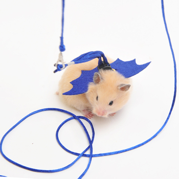 Ζώνη χάμστερ με θωρακικό ιμάντα και λουρί έλξης | Υλικό: φελτ/νάιλον | Μάρκα: Hanhanle | Κατάλληλο για χάμστερ και άλλα μικρά κατοικίδια