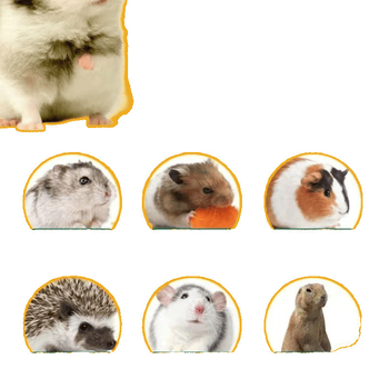 Клетка за развъждане на пъдпъдъци от масивно дърво с изолирана камера за хамстери и пъдпъдъци