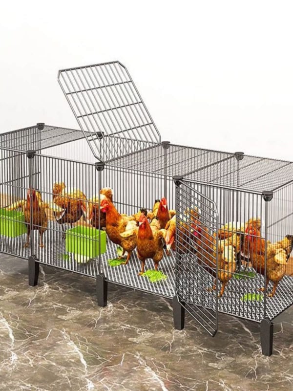 Csirke ketrec, kültéri nagy, vidéki tenyésztésre, esőálló kialakítás, belső etetődoboz (Anyag: Egyéb; Importált: Nem; Termékkategória: Egyéb; Márka: Egyéb; IP engedélyezve: Nem)