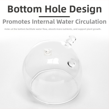 Γυάλινο κύπελλο για υδρόβια φυτά σε ενυδρείο, διακοσμητικός σχεδιασμός | Υλικό: Γύαλί | Μάρκα: Pet Sound | Στυλ: διακόσμηση ενυδρείου με κύπελλο | Κύρια χρήση: διακόσμηση ενυδρείου