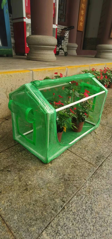 PVC šiltnamis sukulentams – izoliacija ir lietaus atsparumas, prekės ženklas Mika Flower Room, tinkamas sodui, balkonams ir lauke ant palangės