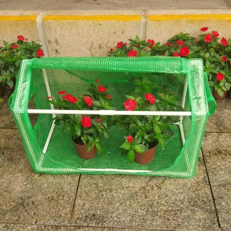 PVC šiltnamis sukulentams – izoliacija ir lietaus atsparumas, prekės ženklas Mika Flower Room, tinkamas sodui, balkonams ir lauke ant palangės