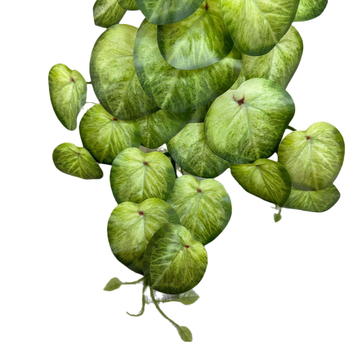 Longyu Craft Flower τεχνητή πρασινάδα τοίχου – μεταξωτά λουλούδια σε δίχτυ, προσομοιωμένα φυτά, για γάμους, φωτογραφικά props, οικιακή διακόσμηση