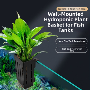Κρεμαστό στον τοίχο γλάστρα για υδροπονική φύτευση σε ενυδρείο – διακοσμητική καλαθούλα για υδρόβια φυτά