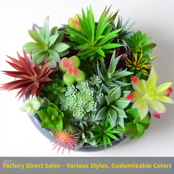 DIY τεχνητή αράνγιση με φυτά succulent, Hua Yi, μαλακό PVC, ποικιλία: succulent, εσωτερική διακόσμηση και φωτογραφικός реквизит