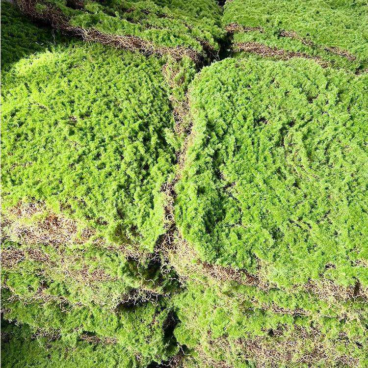 Mű moha gyep, flockolt selyem növény, modell 21488319, tájkép kirakat dekoráció