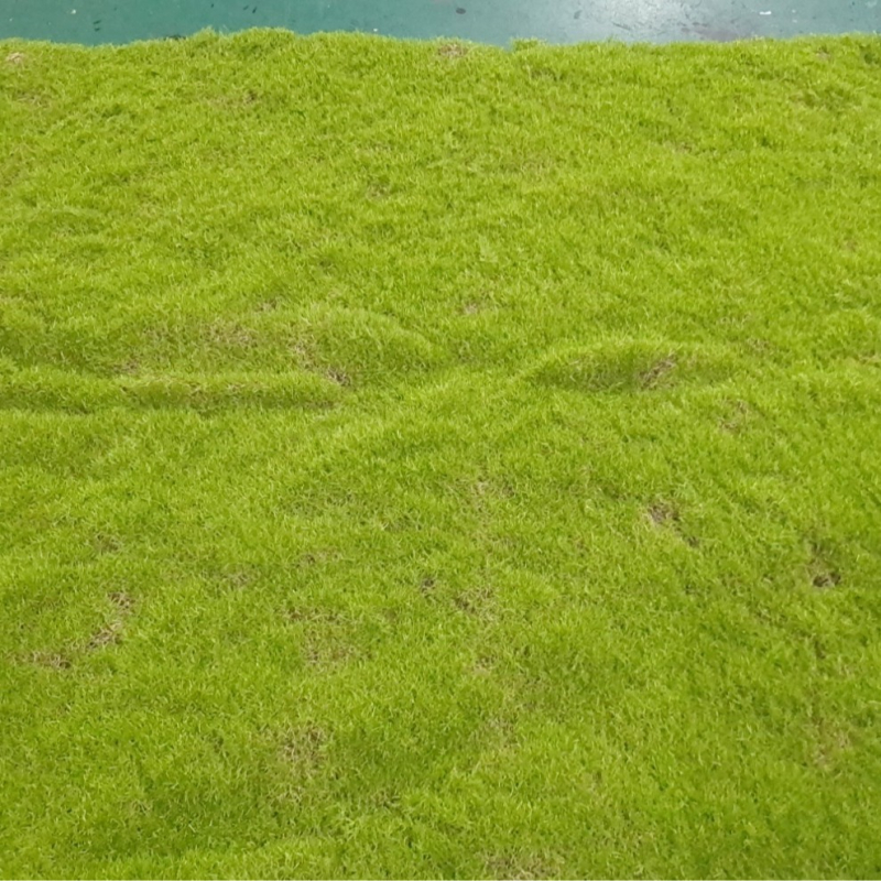 Mű moha gyep, flockolt selyem növény, modell 21488319, tájkép kirakat dekoráció