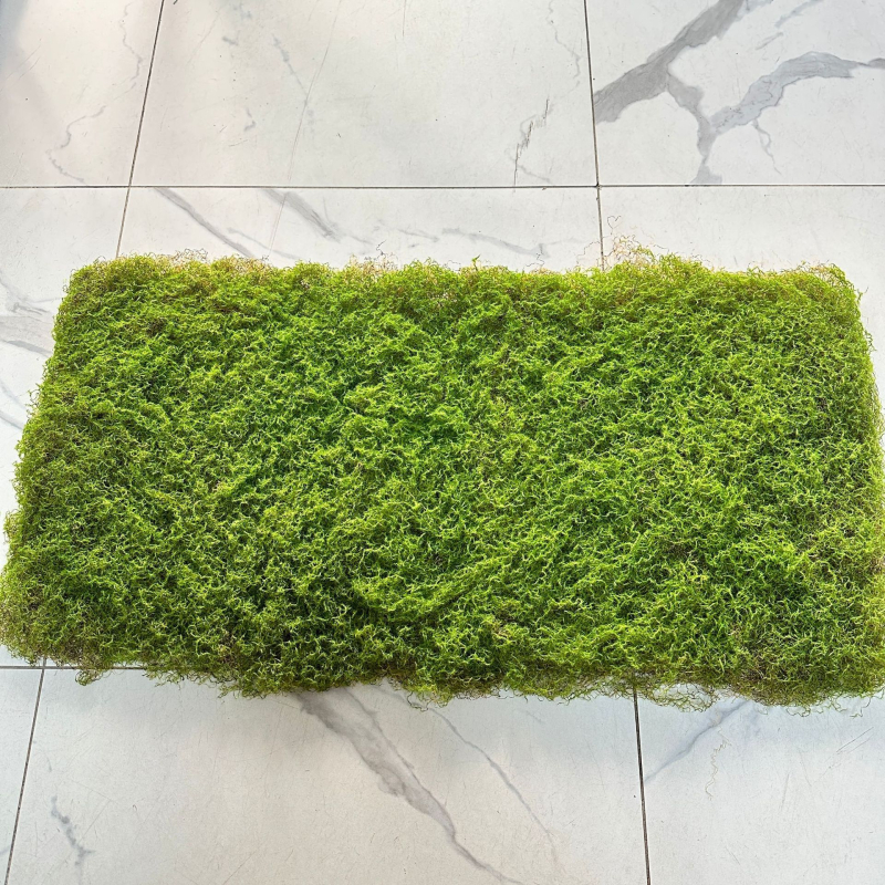 Mű moha gyep, flockolt selyem növény, modell 21488319, tájkép kirakat dekoráció