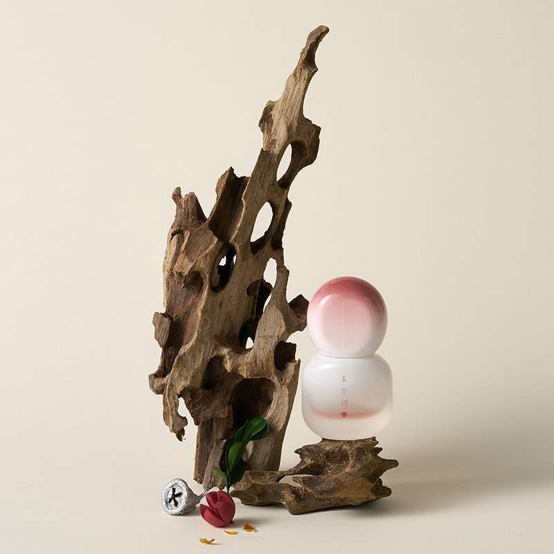 Porainais driftwood fotogrāfijām – fons Still Life ar zariem, dekoratīvs rekvizīts