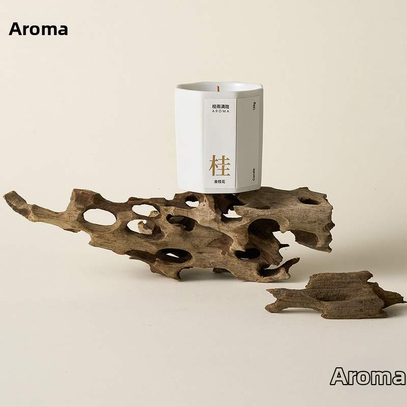 Porainais driftwood fotogrāfijām – fons Still Life ar zariem, dekoratīvs rekvizīts