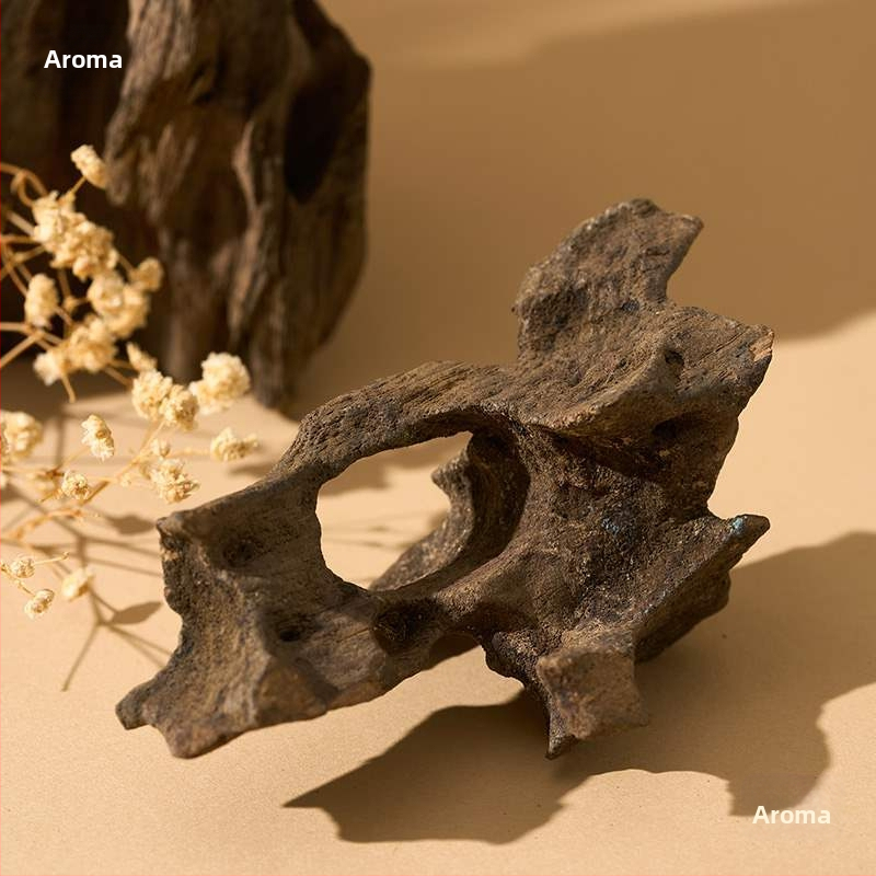 Porainais driftwood fotogrāfijām – fons Still Life ar zariem, dekoratīvs rekvizīts