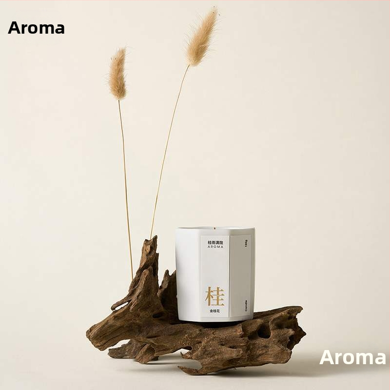 Porainais driftwood fotogrāfijām – fons Still Life ar zariem, dekoratīvs rekvizīts