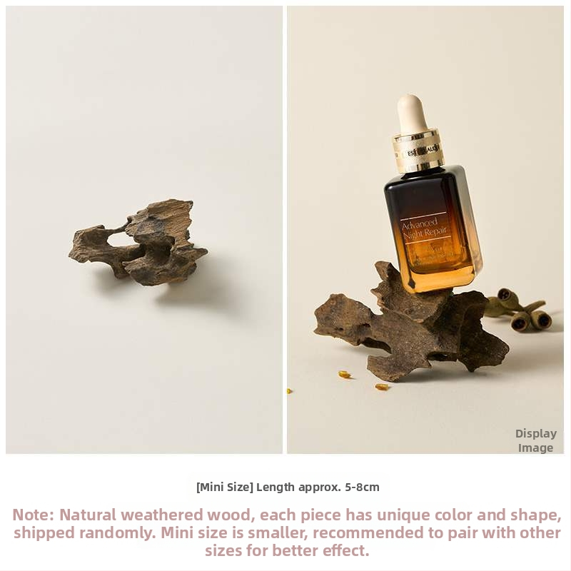 Porainais driftwood fotogrāfijām – fons Still Life ar zariem, dekoratīvs rekvizīts