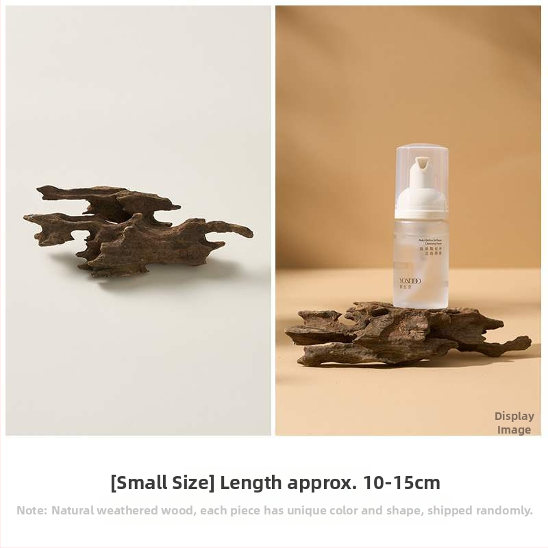 Porainais driftwood fotogrāfijām – fons Still Life ar zariem, dekoratīvs rekvizīts