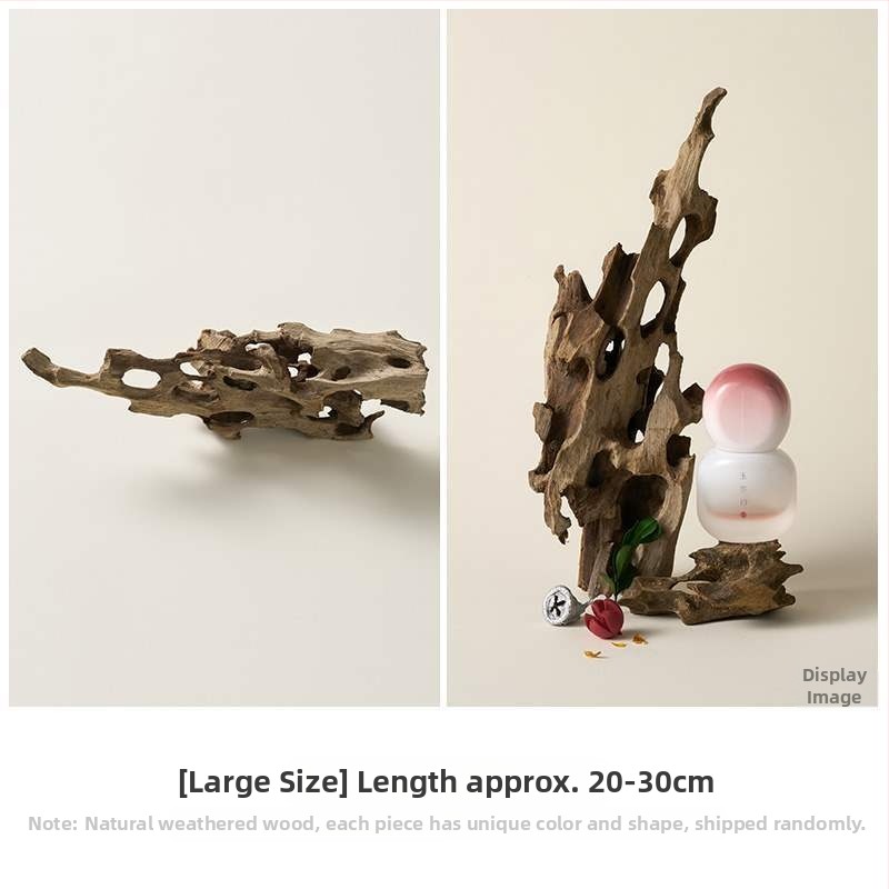 Porainais driftwood fotogrāfijām – fons Still Life ar zariem, dekoratīvs rekvizīts