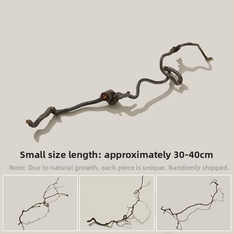 Porainais driftwood fotogrāfijām – fons Still Life ar zariem, dekoratīvs rekvizīts