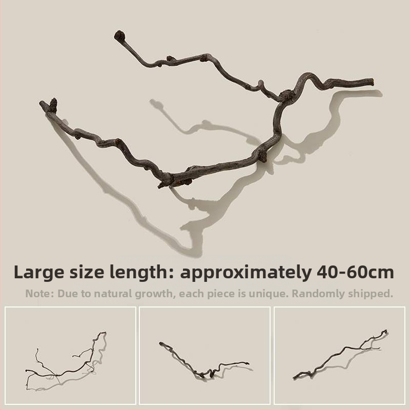 Porainais driftwood fotogrāfijām – fons Still Life ar zariem, dekoratīvs rekvizīts