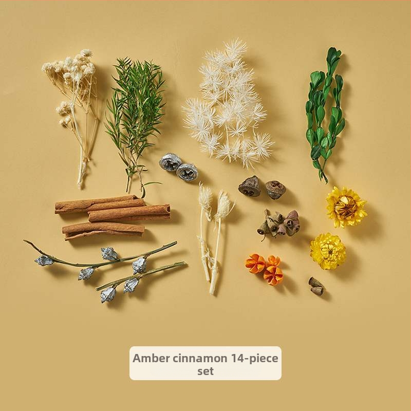 Porainais driftwood fotogrāfijām – fons Still Life ar zariem, dekoratīvs rekvizīts