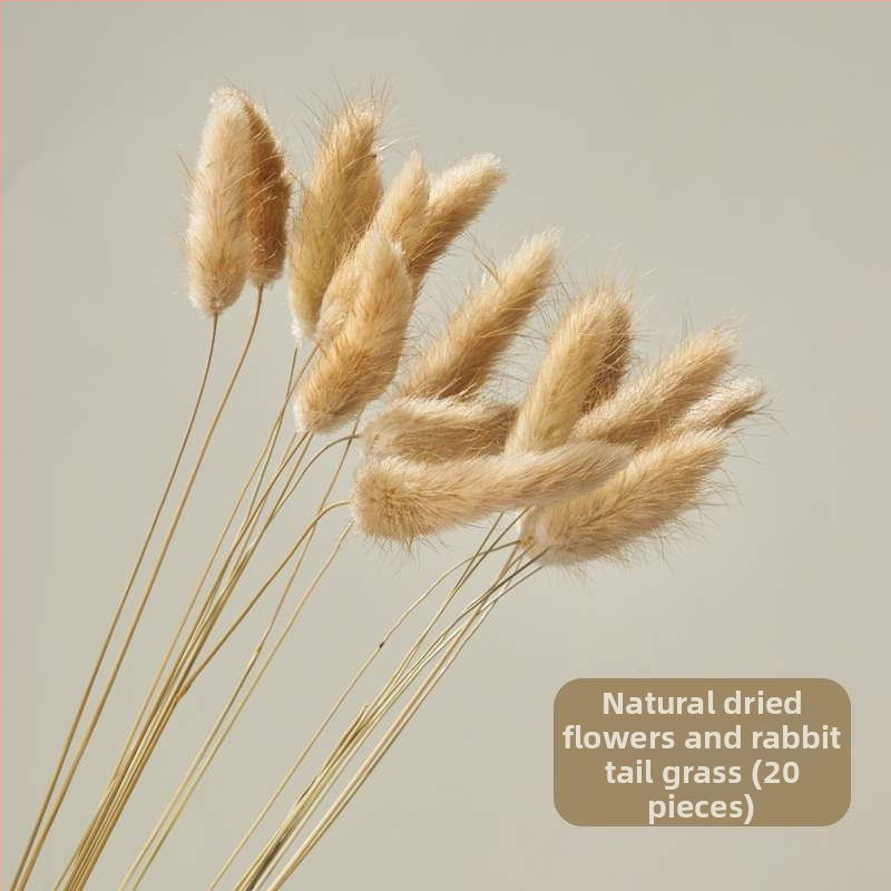 Porainais driftwood fotogrāfijām – fons Still Life ar zariem, dekoratīvs rekvizīts