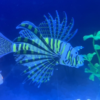 Σιλικονούχα διακοσμητικά ενυδρείου, φωτεινά στο σκοτάδι λιοντόψαρο, 120 τεμάχια ανά κουτί, μάρκα Strong Merchants