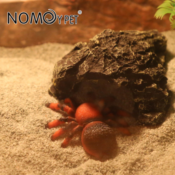 Υπόστρωμα ασβεστολιθικού άμμου για ερπετά — διακοσμητικός άμμος ερήμου για γκέκο, χερσαίες χελώνες και άλλα αναρριχητικά κατοικίδια