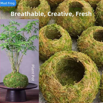 Sammalsambliku pott orhidejade mini-maastikuga, põrandal seisev alus, maaeluline stiil koduaiaai ai